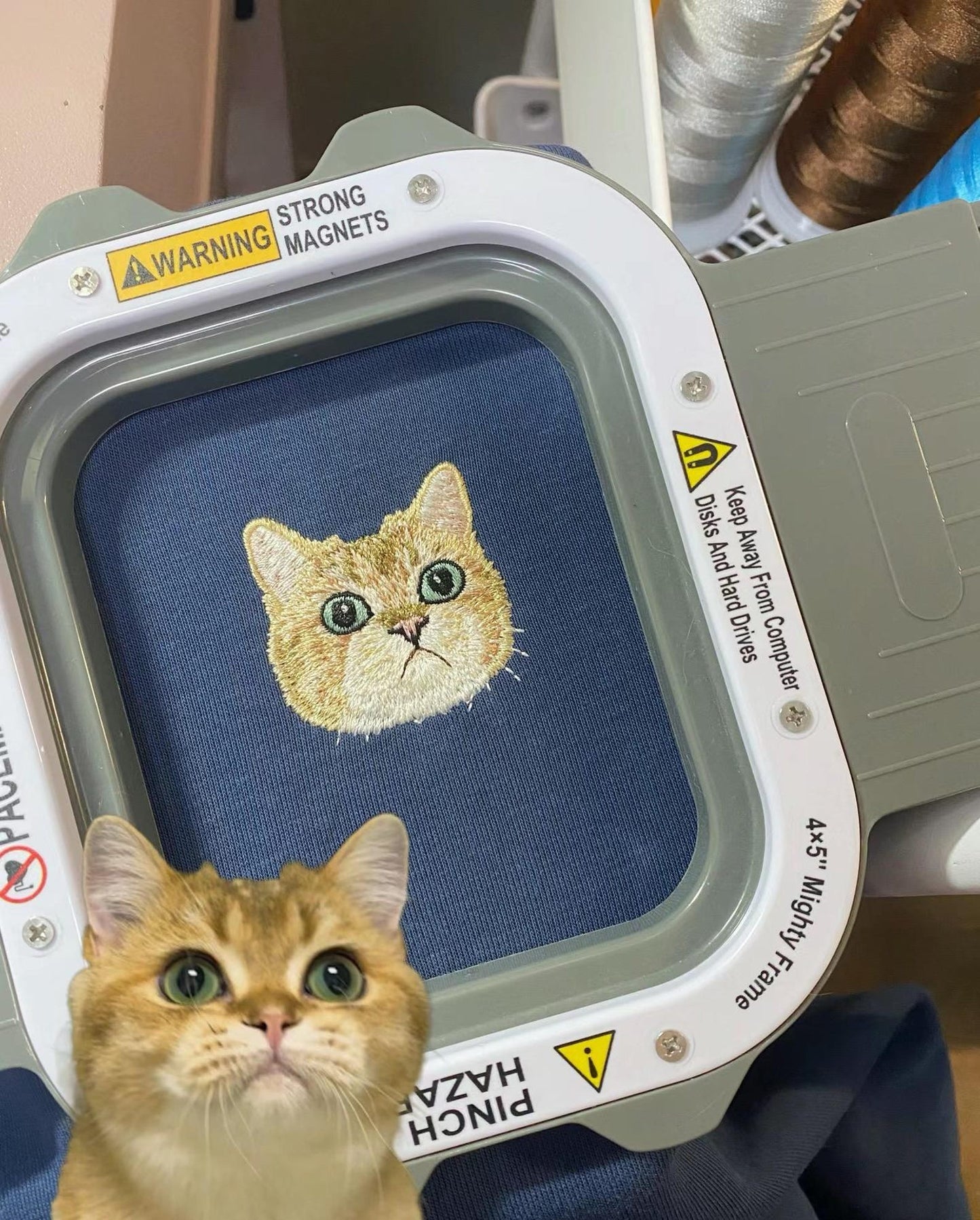 Felpa personalizzata con ritratto di cane ricamato, felpa con cappuccio personalizzata per animali domestici, felpa personalizzata per animali domestici con volto di animale domestico ricamato