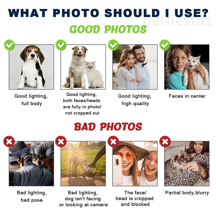 Felpa con cappuccio e maglietta con ricamo fotografico personalizzato per cane/gatto.